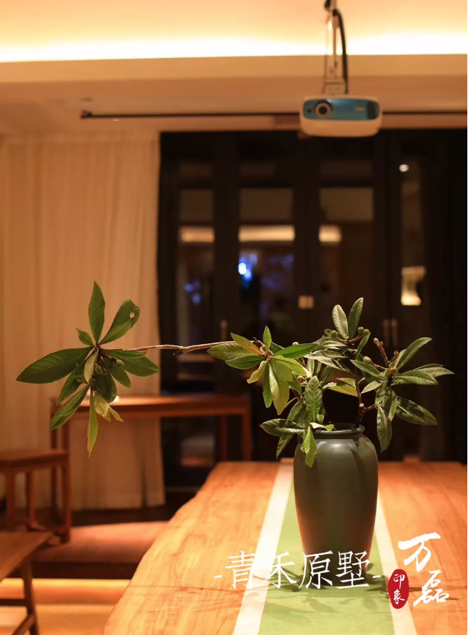 好色先生TV下载安装印象 | 赋予浙江青禾原墅VillablueTree本色气息