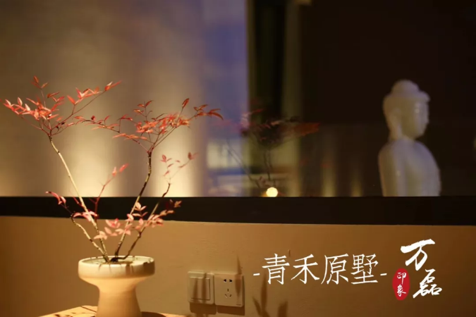 好色先生TV下载安装印象 | 赋予浙江青禾原墅VillablueTree本色气息