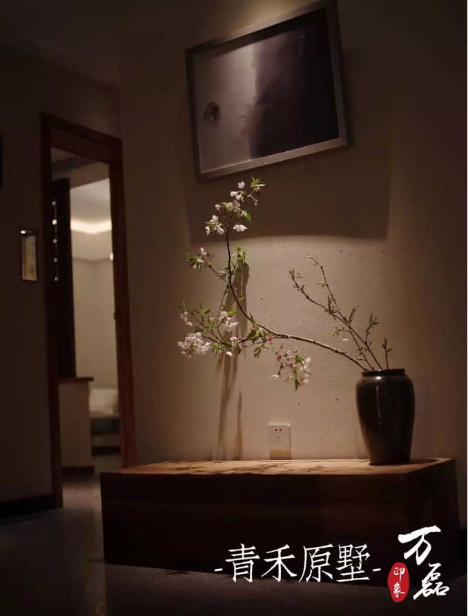 好色先生TV下载安装印象 | 赋予浙江青禾原墅VillablueTree本色气息