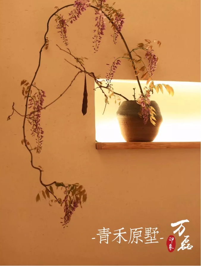 好色先生TV下载安装印象 | 赋予浙江青禾原墅VillablueTree本色气息